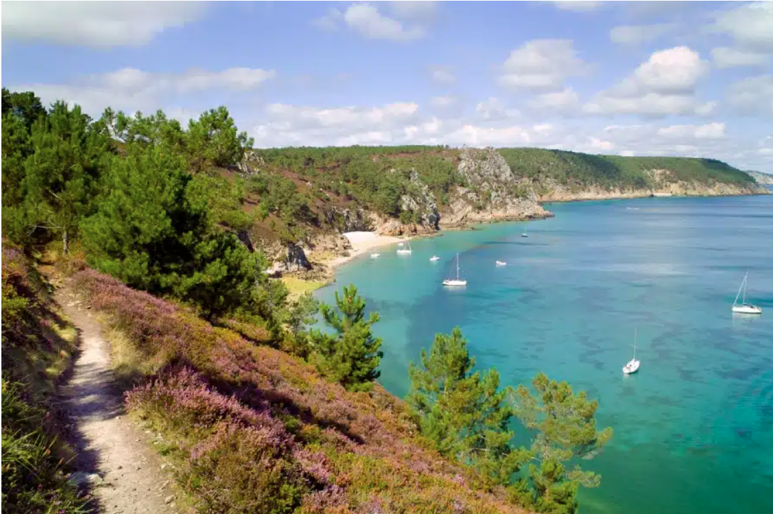 Image côte